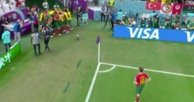 Bernardo Silva spotted not celebrating Portugal's World Cup goal for clever reason