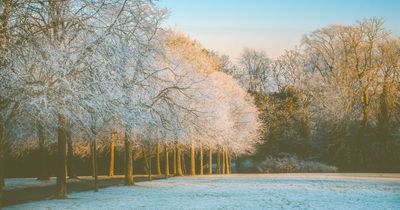 Glasgow cold snap as temperatures plummet to -4 amid 'arctic blast'