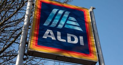 Shoppers praise Aldi’s ‘impressive’ £30 steam cleaner ‘better than Shark’