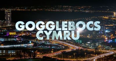 Nigel Owens to appear on Gogglebocs as S4C announces case list for Christmas special