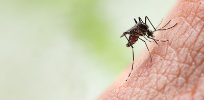 Mosquitoes are not repelled by vitamins and other oral supplements you might take