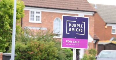 Biggest monthly fall in house prices since 2008