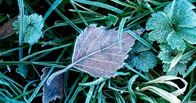 The exact temperature your home should be as mercury plummets and Met Office warns of snow