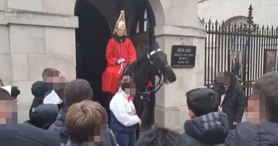 King's Guard filmed screaming at tourist after she slaps horse three times