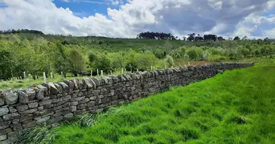 New nature reserve and holiday let for Northumberland after land donated to charity