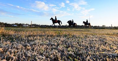 Horse racing faces 'challenge' to stage cards as freezing temperatures plummet to -5C