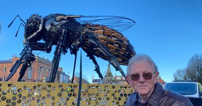 'Chilling and thought-provoking' anti-violence bee sculpture visits Ilkeston