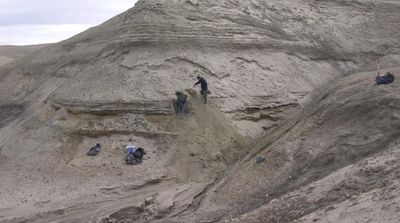 Oldest DNA Reveals Life in Greenland 2 Million Years Ago