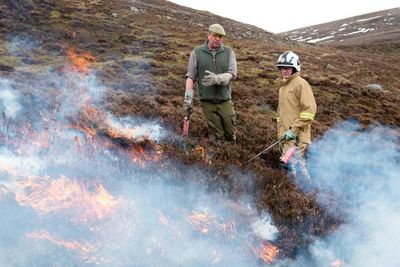 Scottish Water to phase out peat burning by tenants on grouse moors