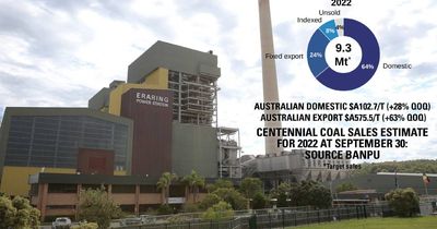 Minerals Council slams price cap as data confirms state power stations paying well under export prices