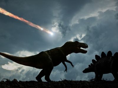 Dinosaurs were in their prime before asteroid downfall, study finds - OLD
