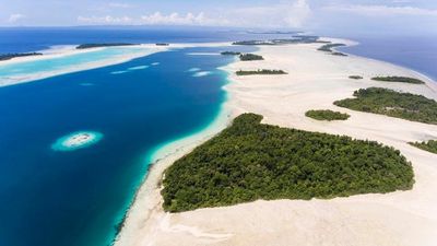 Stake in Indonesia's Widi Reserve islands up for auction by Sotheby's, but environmentalists have concerns