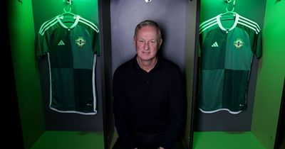 Michael O'Neill 'not after a statue' as he plots new Northern Ireland course