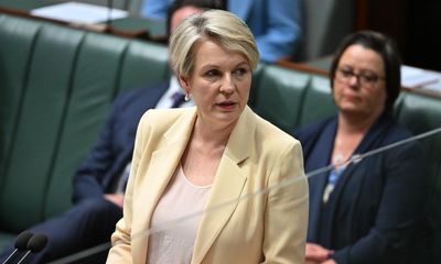 Tanya Plibersek confirms new environmental protection agency to enforce conservation laws