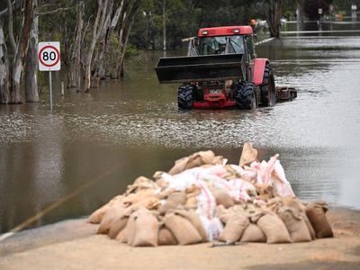 Flood-affected Murray River tourist plea