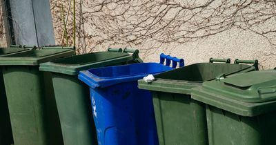 The 'gross' mistake residents make when sorting recycling