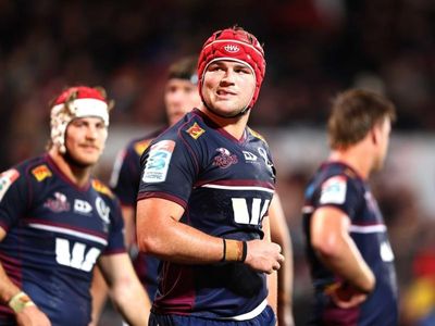Wilson to fight out of Wallaby wilderness
