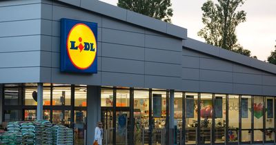 Lidl slashes veg to just 19p with full Christmas dinner costing £2.75 a head