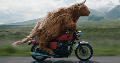 Incredible CGI images show making of Highland cow on motorbike ad for Virgin media