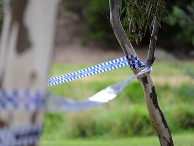 Bone found in search for Brisbane man
