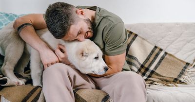 Why the death of a pet can hit us harder than the death of a person