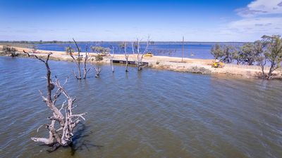 Lake Bonney closed off from Murray River at Barmera as Riverland flood peak approaches
