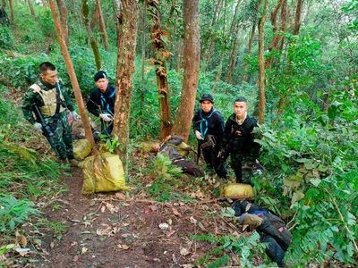 15 suspected drug smugglers killed by Thai border patrol