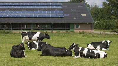 Brickbat: Buying the Farm