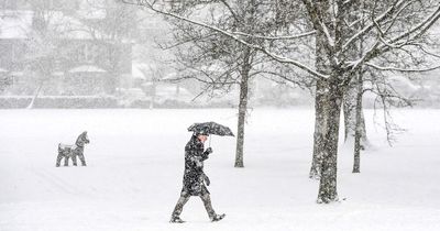 Scotland snow tracker forecast as Troll of Trondheim could bring six inches of flurries