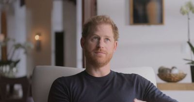 Prince Harry calls Nazi outfit 'one of the biggest mistakes of my life' and says he was 'ashamed' of himself