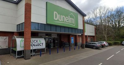 Dunelm £14 heater costs pennies to run and heats up a room in minutes - shoppers say its 'great value'