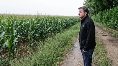 '€11,000 for so much sacrifice': Bayer pesticide ruling ends French farmer's 15-year battle