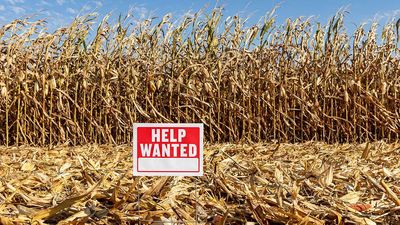 America Needs 'Low-Skilled' Workers