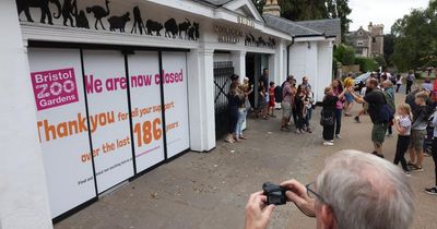 Campaign launched to 'save Bristol Zoo'