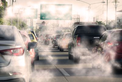 How air pollution harms the brain