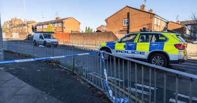 Children in hospital after six people involved in crash with van