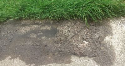 Ballymun family at wits end with stench of sewage flowing into home for decade