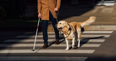 Dis Life: 'Disabled people are struggling under historically punitive living conditions'