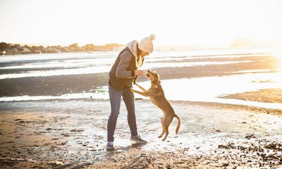 Short bursts of vigorous activity can cut risk of early death, study suggests