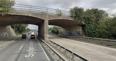 Concerns raised over 'dangerous' Sydenham Bypass cycle lane