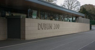 Dublin Zoo announces ambitious conservation 'master plan'