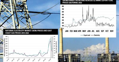 Report criticises coal price cap and says gas the real driver of power prices