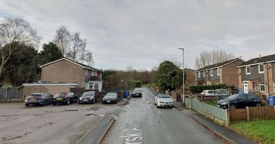 Around 20 people involved in mass brawl involving weapons on quiet estate