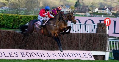Cheltenham Gold Cup winner A Plus Tard has 'a couple of issues' but could run at Christmas