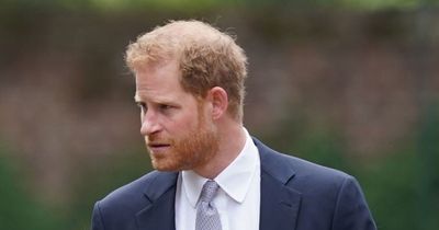 Prince Harry's devastating admission about Princess Diana