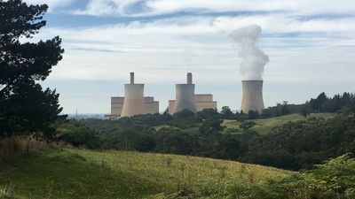 Anthony Albanese urges national cabinet to endorse unprecedented intervention to cap coal and gas prices