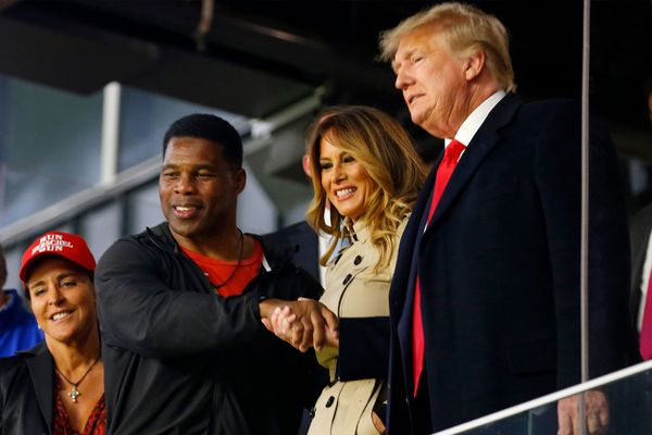 Inside the Herschel Walker campaign fiasco