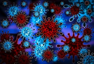 DNA study reveals how a mysterious, extinct human shaped our immune systems