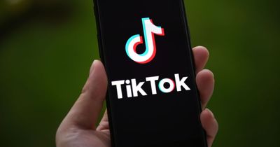 TikTok removes Leo Varadkar nightclub video