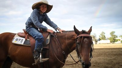 Australia's largest stockhorse sale tops its own record, grossing $5.3 million in Queensland